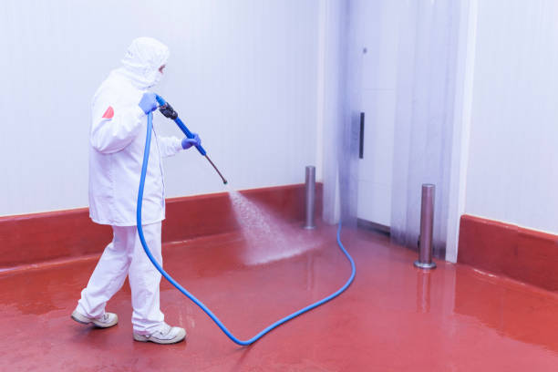 Reliable College Station, TX Pressure Washing Services Solutions